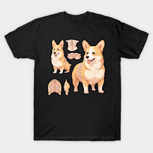 corgi anatomy T-Shirt